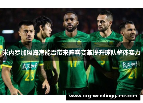 米内罗加盟海港能否带来阵容变革提升球队整体实力