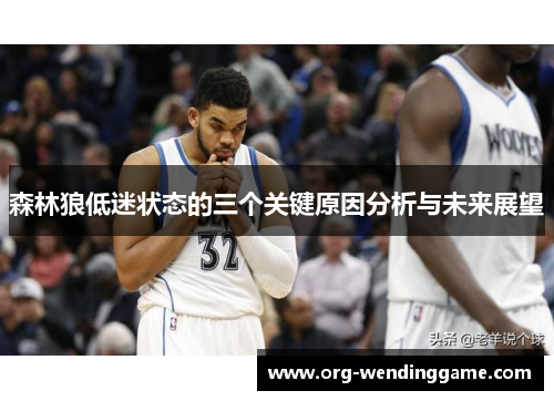 森林狼低迷状态的三个关键原因分析与未来展望