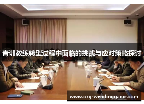 青训教练转型过程中面临的挑战与应对策略探讨