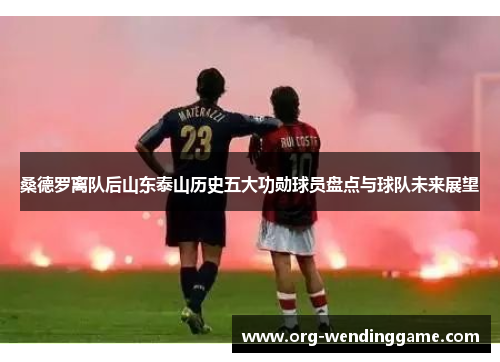桑德罗离队后山东泰山历史五大功勋球员盘点与球队未来展望