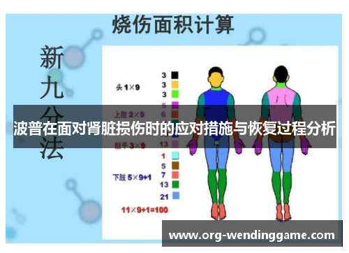 波普在面对肾脏损伤时的应对措施与恢复过程分析