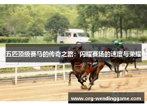 五匹顶级赛马的传奇之路：闪耀赛场的速度与荣耀