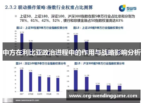 中方在利比亚政治进程中的作用与战略影响分析