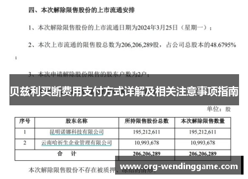 贝兹利买断费用支付方式详解及相关注意事项指南
