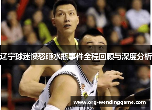 辽宁球迷愤怒砸水瓶事件全程回顾与深度分析