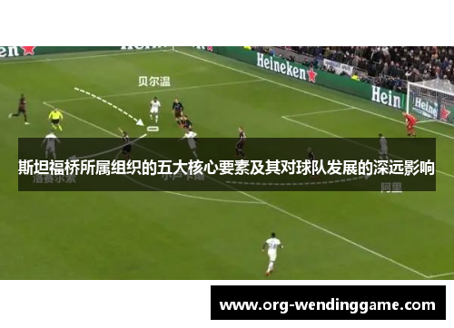 斯坦福桥所属组织的五大核心要素及其对球队发展的深远影响