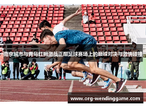 南京城市与青岛红狮激战正酣足球赛场上的巅峰对决与激情碰撞