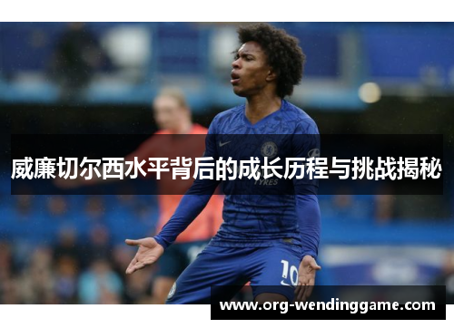 威廉切尔西水平背后的成长历程与挑战揭秘
