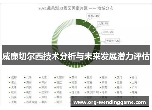 威廉切尔西技术分析与未来发展潜力评估