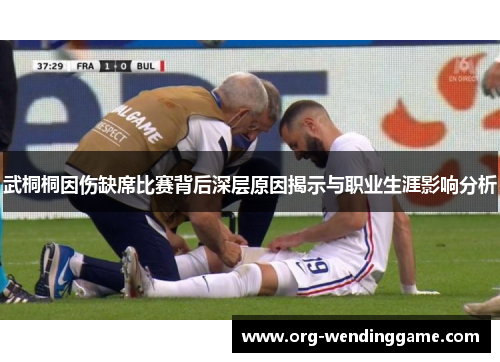 武桐桐因伤缺席比赛背后深层原因揭示与职业生涯影响分析